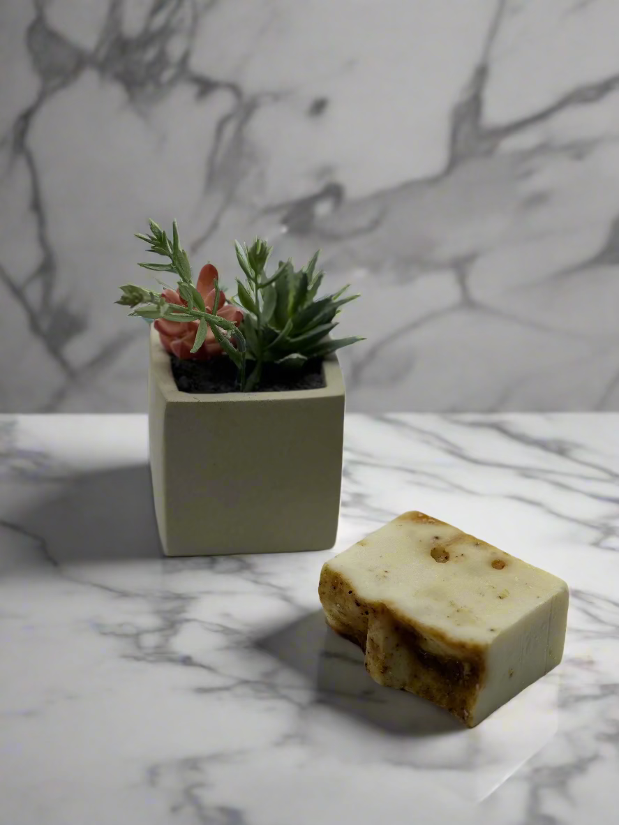 Small potted plant and soap bar on a light gray background