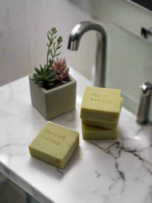 Three bars of soap with essek sutu text on it next to a small potted plant on a white background