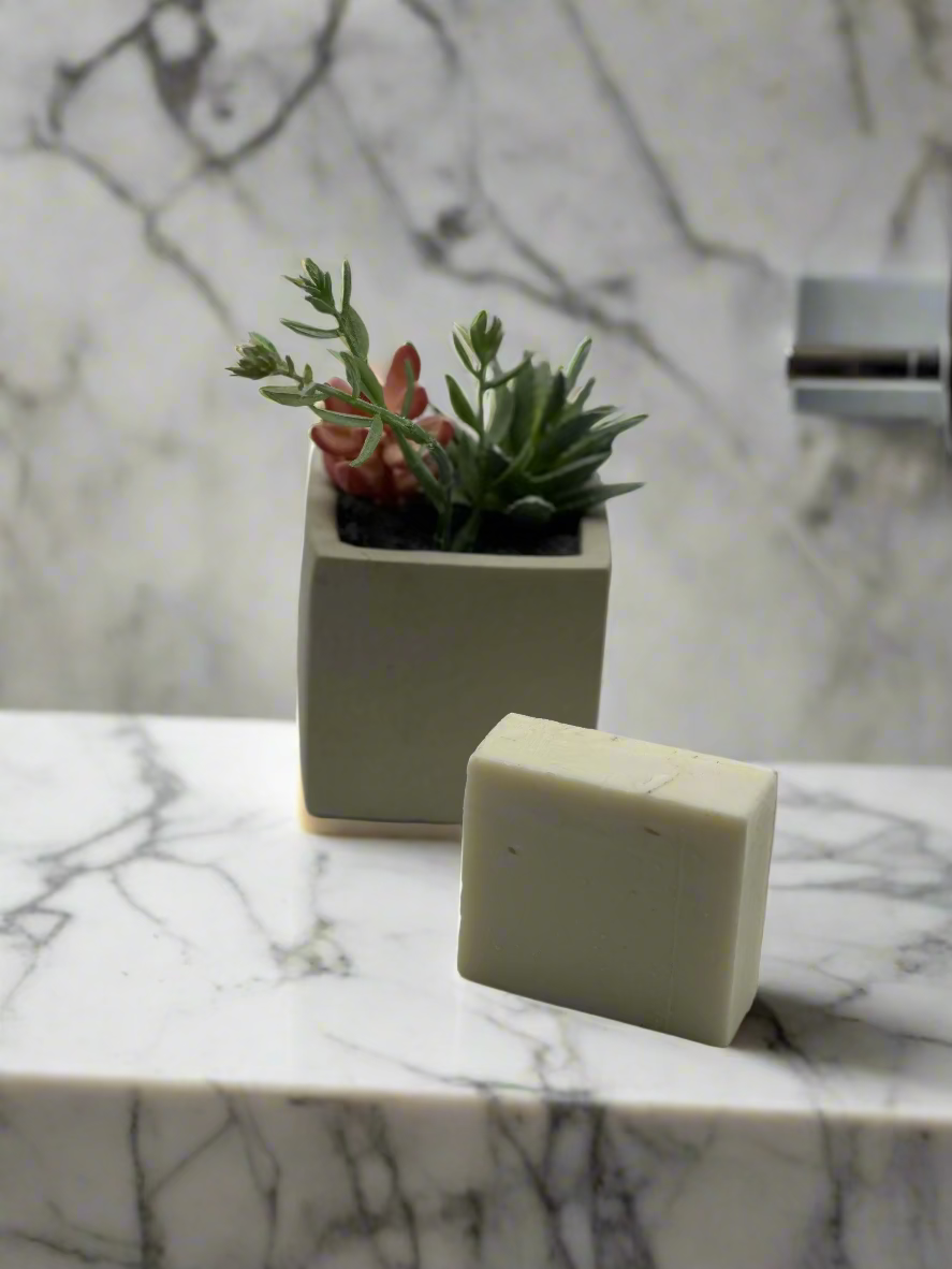 Square concrete planter with succulents and a rectangular bar of soap on a marble