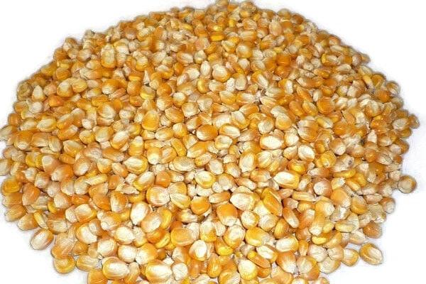 Corn Heating Pad - NagihanDesigns