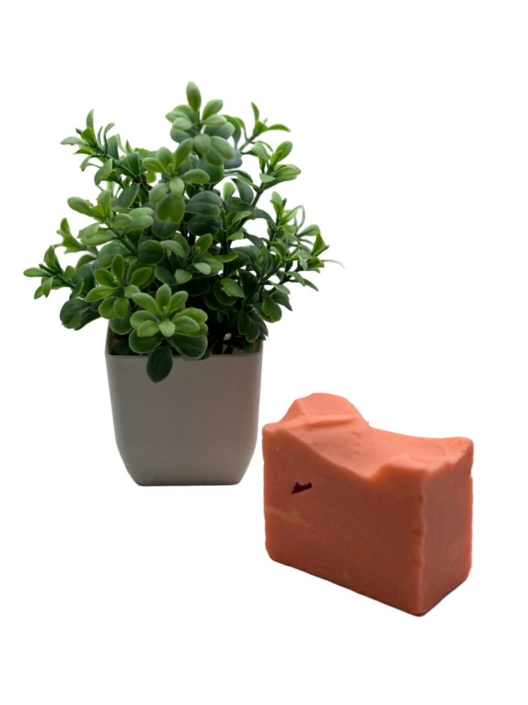 Handmade natural soap - NagihanDesigns