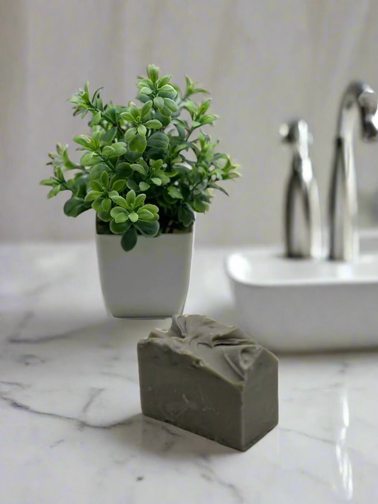 Clay soap with a small greens on a pot as a background decoration