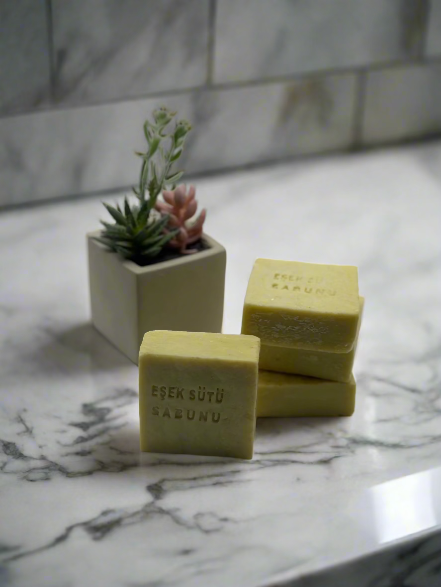 Soap bar  and a small plant with marble background