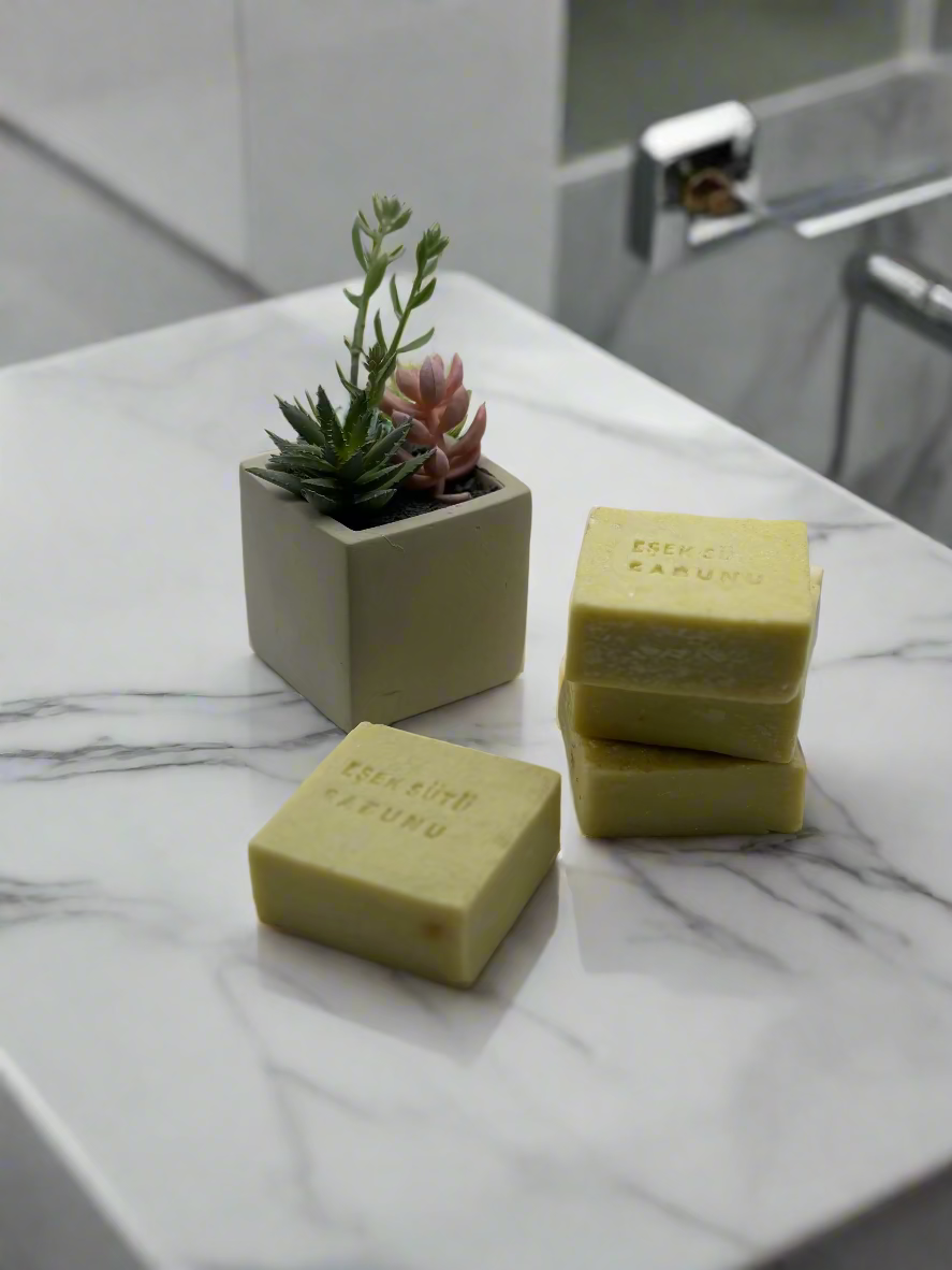 Three bars of soap and a small potted plant on a white surface