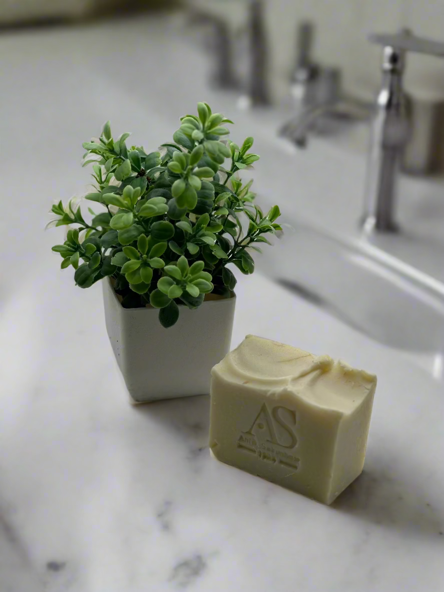 Bar of soap with a plant on a light gray background