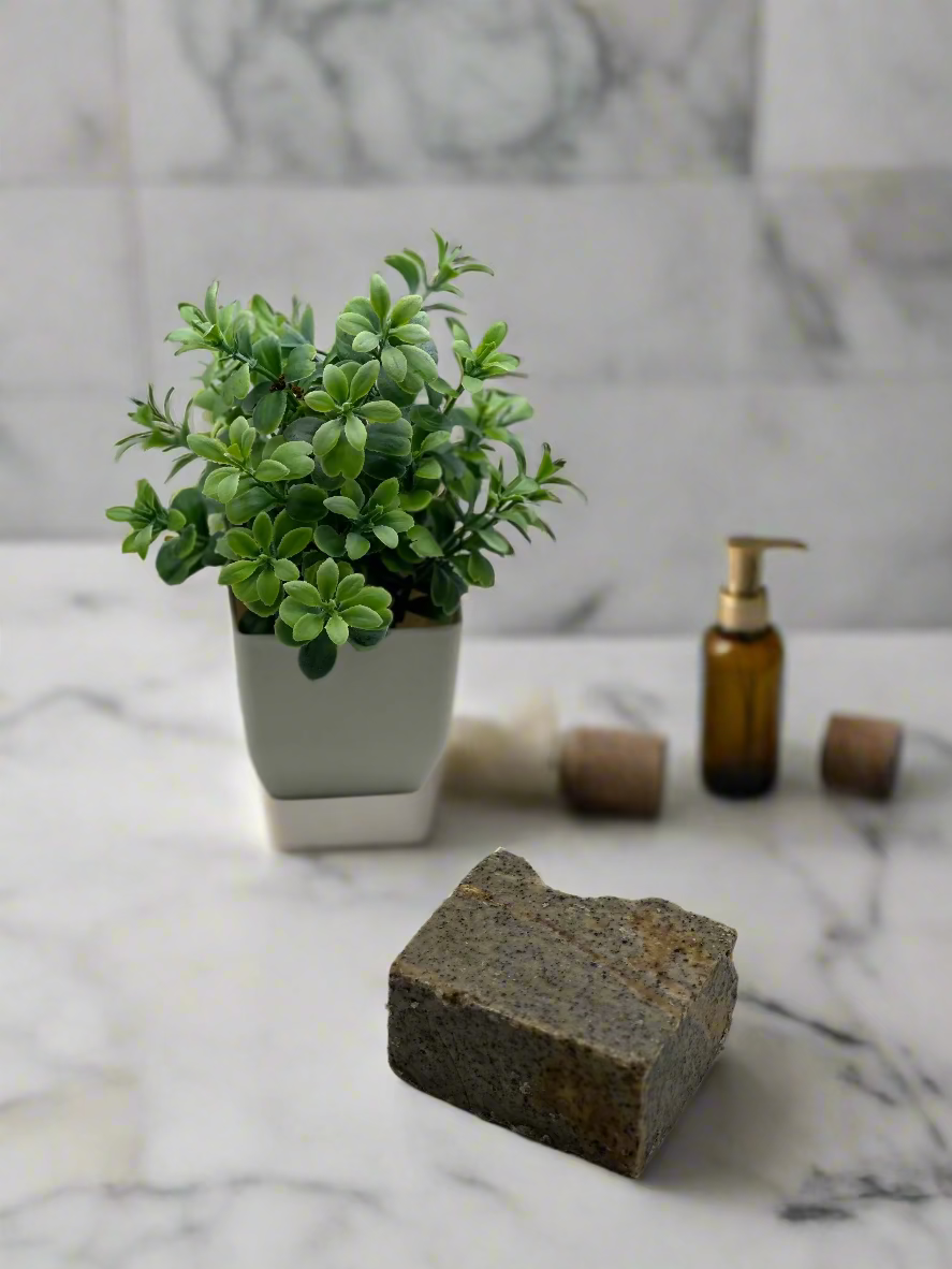 Small potted plant and a piece of dark material on a light gray background
