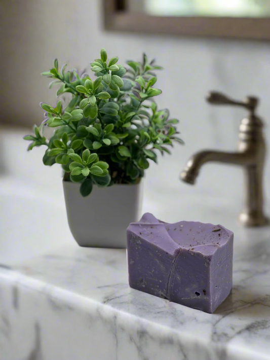 Purple soap bar and small potted plant on a light gray background