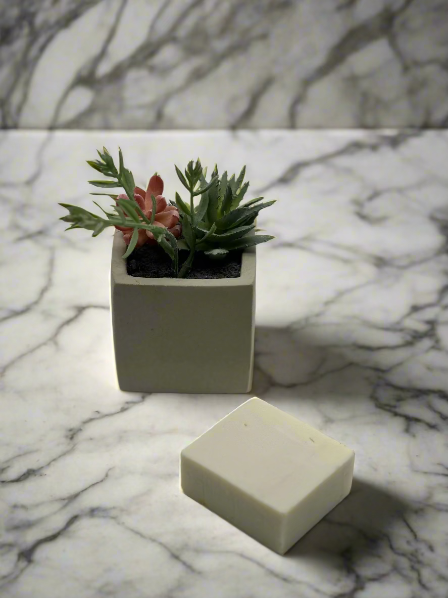 bar of a soap with a small plant on marble