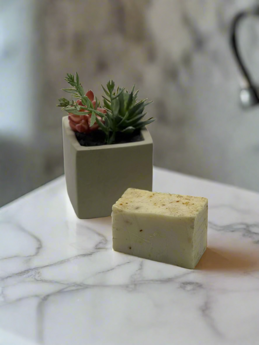 cream color soap bar with a a small plant on the background