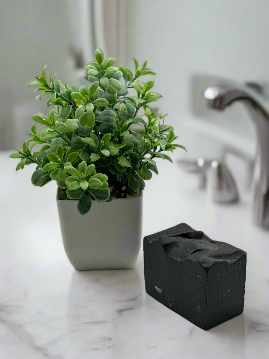 Natural Activated Charcoal & Olive Oil Soap