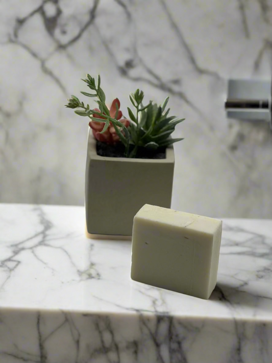Square concrete planter with succulents and a rectangular bar of soap on a marble