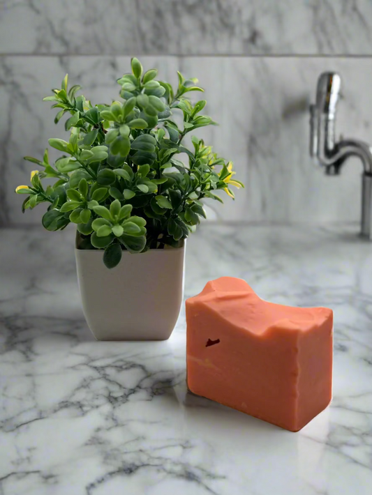 handmade amber soap amber color with a small green in a pot on the side as a decoration