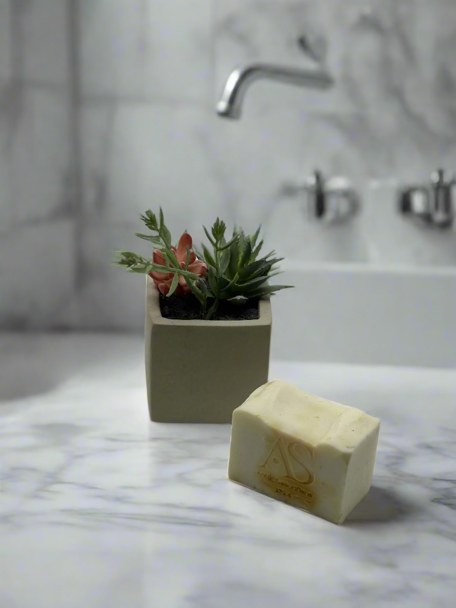 Small potted plant and bar of soap on a white background