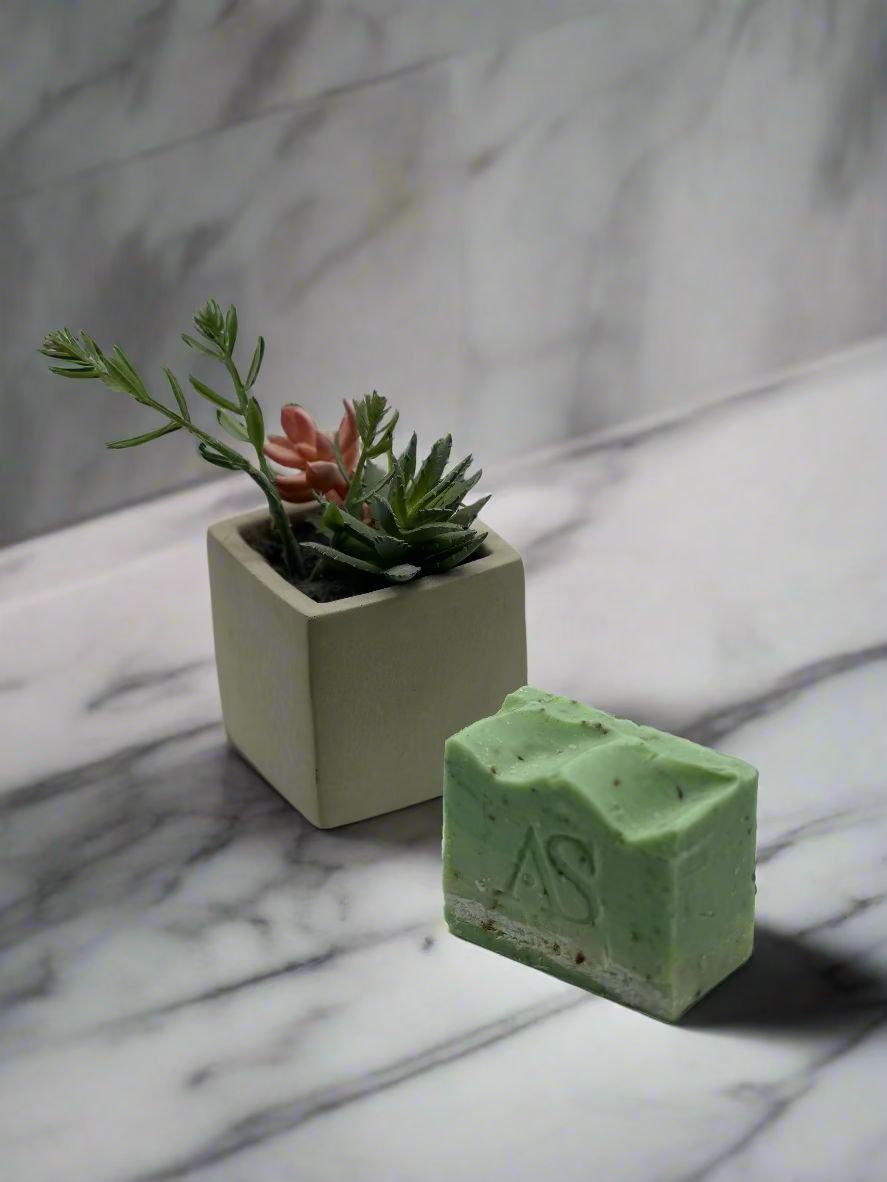 Green bar of soap with 'AS' logo next to a small potted plant on a light gray background