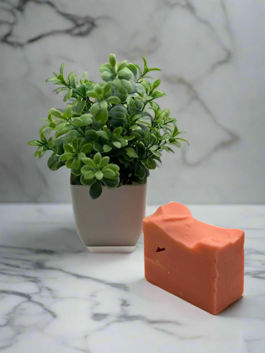 handmade amber soap with a small green in a small pot decoration on the side