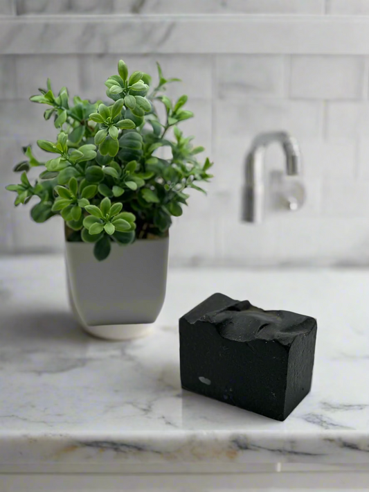 Black soap bar and potted plant on a white background