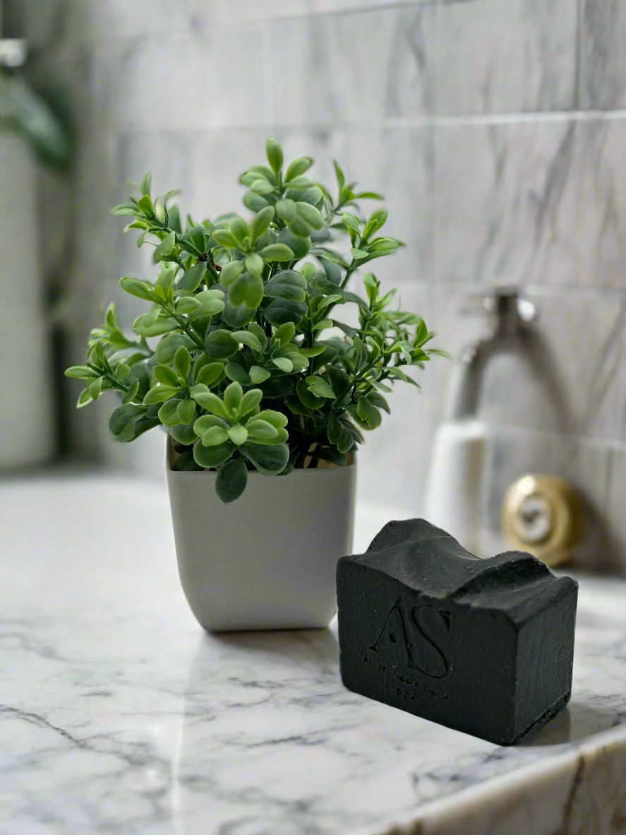 Black soap bar next to a potted plant on a white background