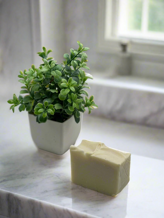 Bar of soap and small potted plant on a light gray background
