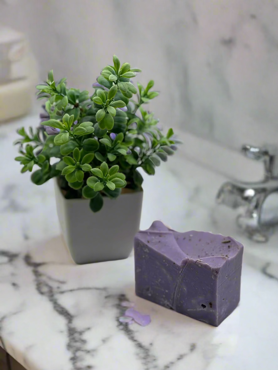 Purple soap bar and small potted plant on a light gray background