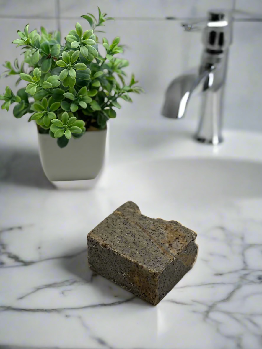 Small potted plant next to a rectangular piece of dark material on a light background
