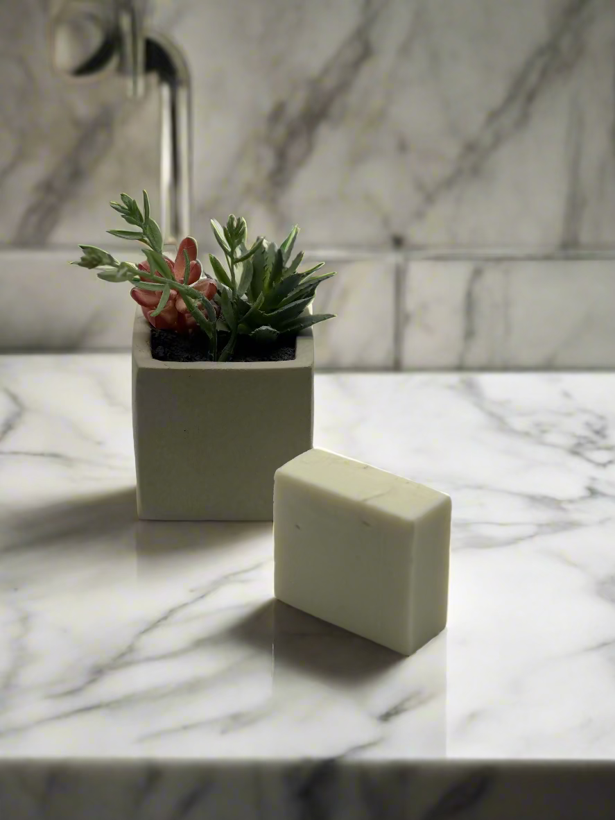 Rectangular concrete planter with succulents and a soap bar on a marble