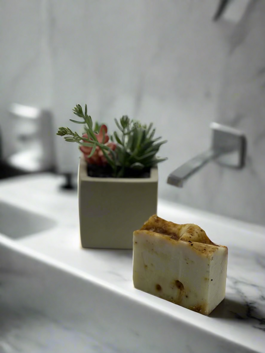 Bar of soap with a small potted plant on a white background
