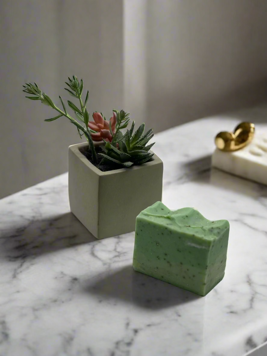 Green soap bar and small potted plant on a light gray background