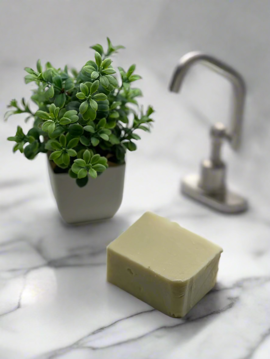 Block of beige soap next to a small potted plant on a light gray background