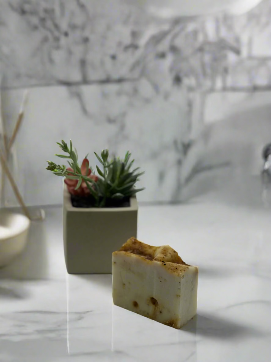 Small potted plant and bar of soap on a white background