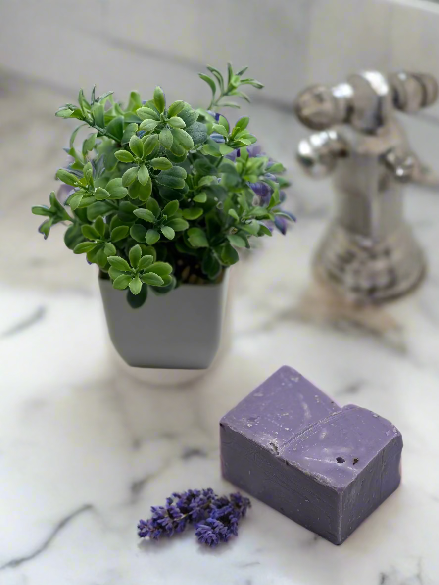 Purple soap bar with a potted plant on a light gray background