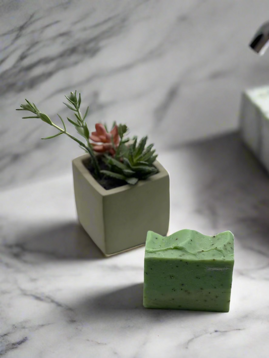 Green soap bar and small potted plant on a light gray background