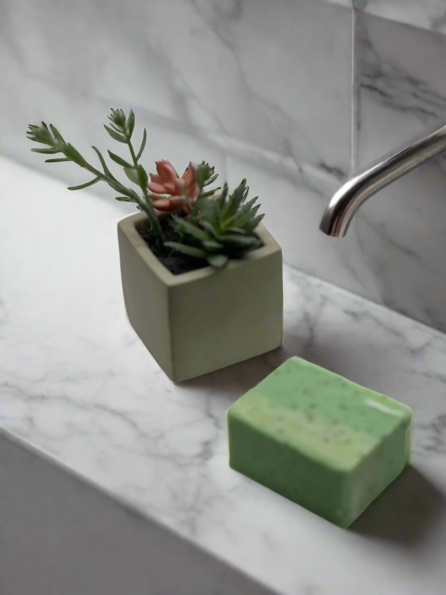 Small potted plant and green rectangular object on a white background
